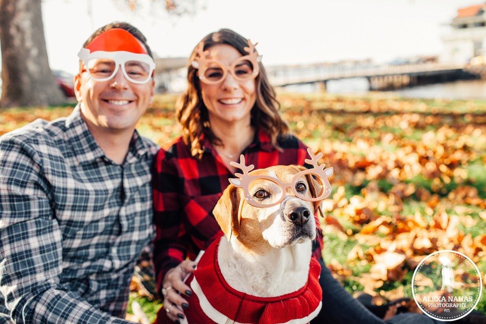 best philly pet photos