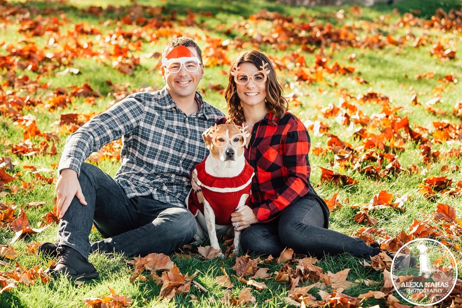 best philly pet photographer