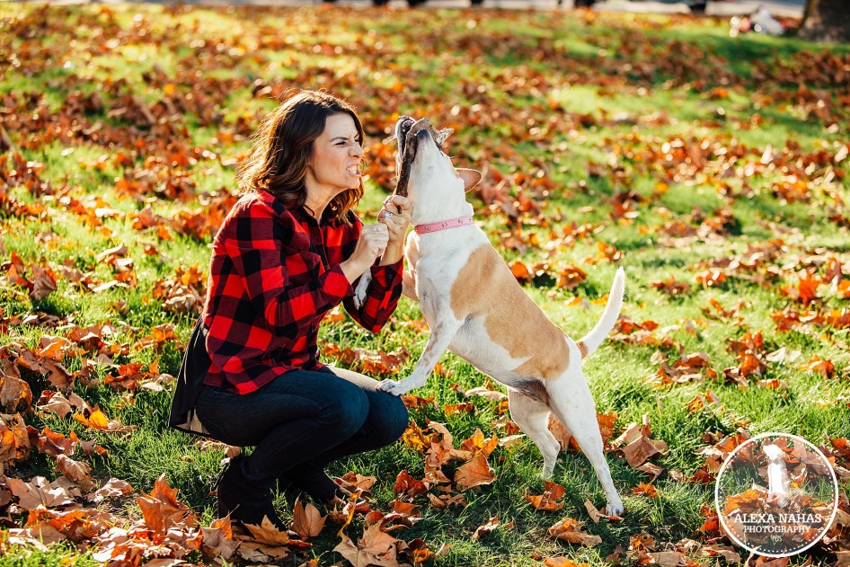 philadelphia beagle photos